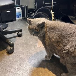 -飛凡TATTOO纹身•原创