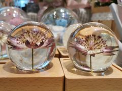 -谷莠子花艺·气球派对·绿植造景·花艺沙龙(金光华广场店)