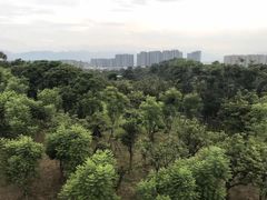 -飞凤山奥体公园