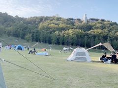 -羊山湖公园