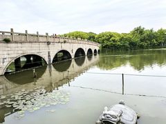 -昆山城市生态森林公园