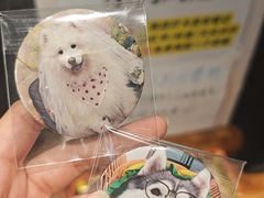-星多哈·狗咖·拼豆·咖啡