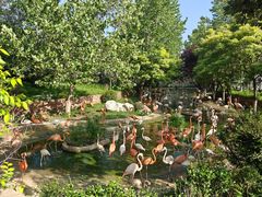 -大连森林动物园