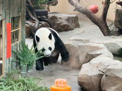 -宁波野生动物园
