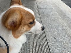 -顺鑫石门市场