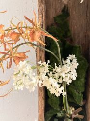 -香秀空间科技抗衰·美容中心