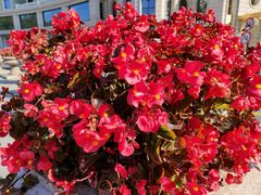 -人民防洪胜利纪念塔