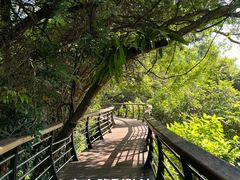 -深圳仙湖植物园