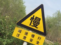 -合肥滨湖国家森林公园