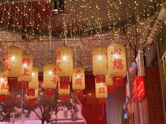 -朱光玉火锅馆(正弘城店)