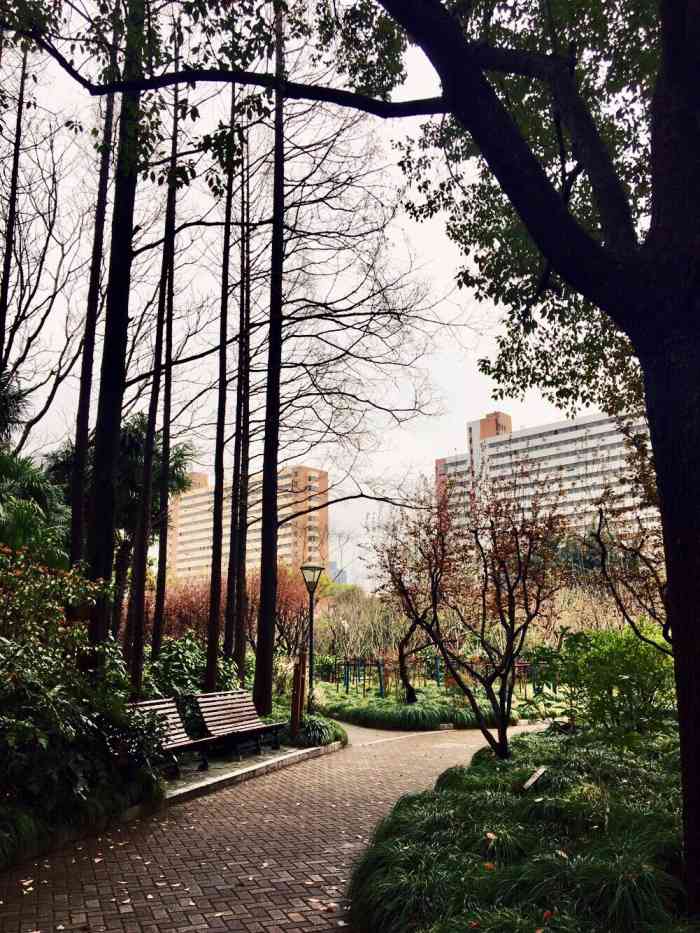 沪太公园-"今年再一次来到沪太公园看枫叶,依旧美丽!"-大众点评移动版