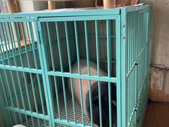 -小时光咖啡馆(开森度假森林店)