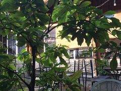 -Trung Nguyen Café Legend