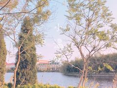 -日照海滨国家森林公园