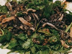 -普天和酒楼·新津菜·烤鸭(天津之眼店)