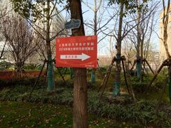 -上海财经大学(国定路校区)