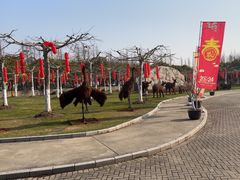 -上海海湾国家森林公园