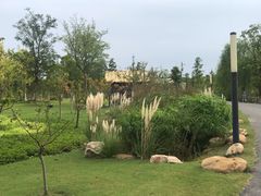 -上海长兴岛郊野公园