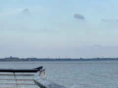 -贡湖湾湿地公园