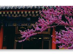 -西安市广仁寺