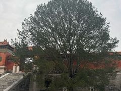 -清西陵