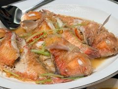 -吴记富苑(朝阳店)