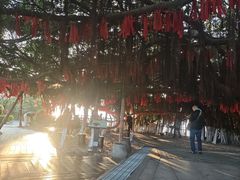 -胡里山炮台
