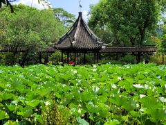 -上海醉白池公园