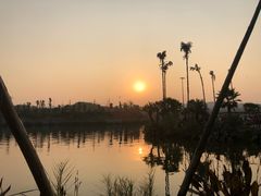 -枫香湖儿童公园