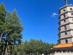 -塞罕坝国家级自然保护区