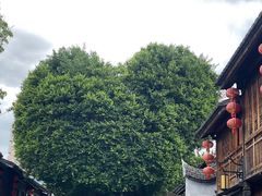 -延福橄榄(三坊七巷店)