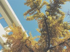 -碧云新天地二期