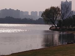 -桐乡凤凰湖