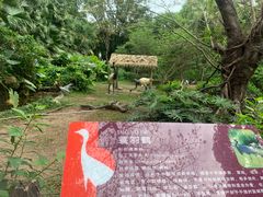 -深圳野生动物园