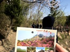 -青岛大珠山景区
