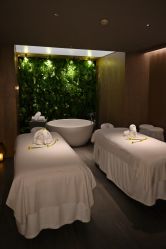 -VELEE·SPA高定疗愈会所