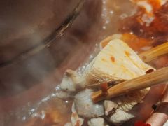 -东镇老火锅(长春路首店)