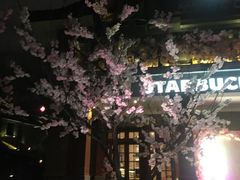 -星巴克臻选(思南公馆店)
