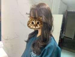 -潘多拉Hairsalon