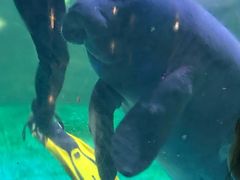 -烟台海昌鲸鲨海洋公园