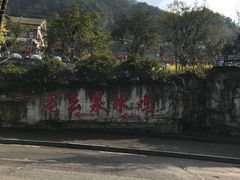 -老幺泉水鸡