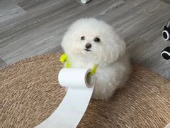 -爱侣宠医·鹦鹉专科·小型哺乳类·异宠专科(灵石路店)