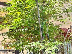 -RUXU入续糖水铺与包(卓悦中心店)