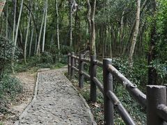 -上海佘山国家森林公园天马山园