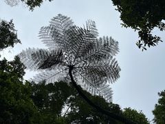 -热带雨林自然公园