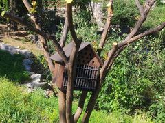 -北京西山国家森林公园