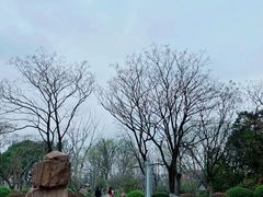 -汤山公园