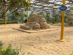 -南宫五洲植物乐园