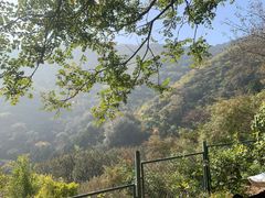 -香山公园