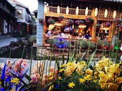 -民食香·腊排骨野生菌美食(木府店)